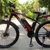 E-Bikes in Deutschland: Fast jeder Dritte hat ein eigenes Rad
