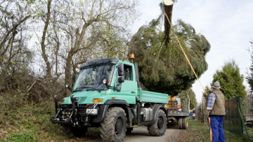 Briten arbeiten mit dem Unimog