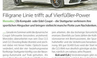 Filigrane Linie trifft auf Vierfüßler-Power