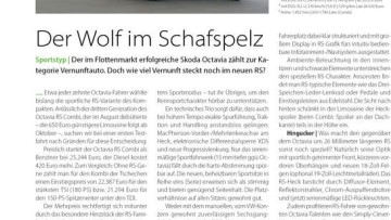 Der Wolf im Schafspelz