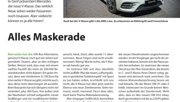 Alles Maskerade