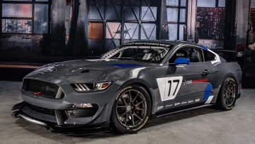 Ford Mustang GT4: Rennpferd