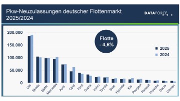 Flottenmarkt, Dataforce