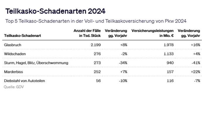 Teilkasko-Schadenarten 2024