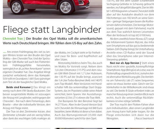 Fliege statt Langbinder