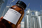 TÜV Süd dementiert "Bild"-Bericht zu Biodiesel Biodiesel Produktion (ddp)