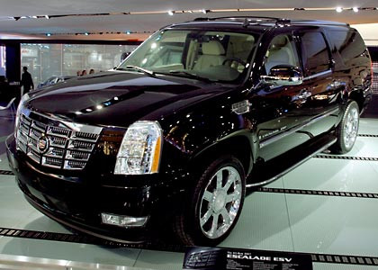 naias_2006_5.jpg