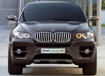 bmw_x6_2.jpg