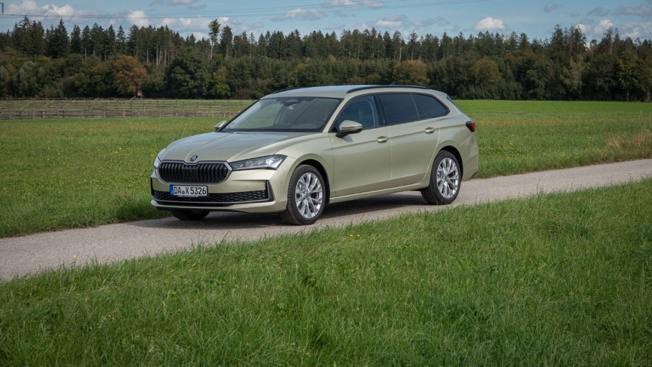 Seitenansicht vor grüner WIse des Skoda Superb Combi 2.0 TDI