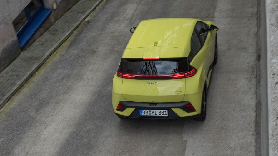 Dolphin Surf fahrend fotografiert