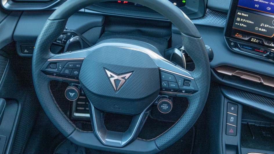 Lenkrad des Terramar VZ im Detail