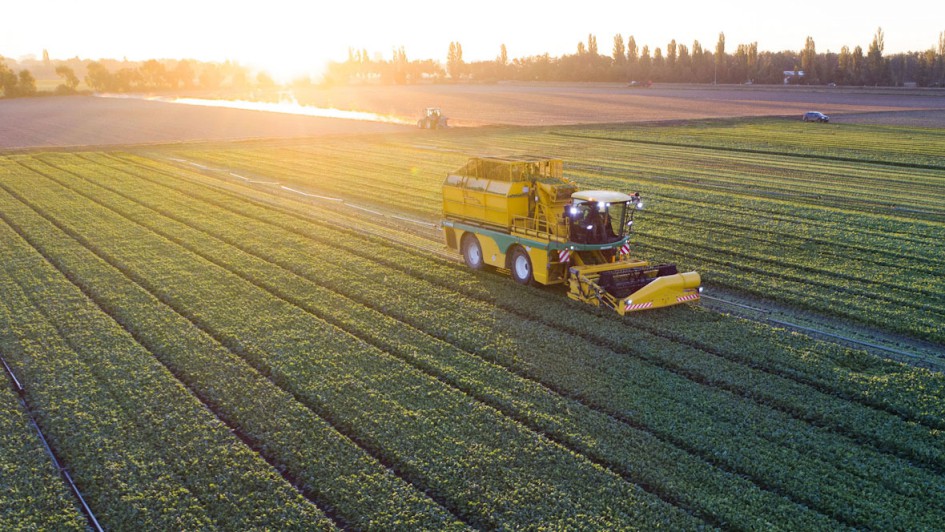 Die eigene Produktion wird nach transparenten Regeln angebaut und weiterverarbeitet. 