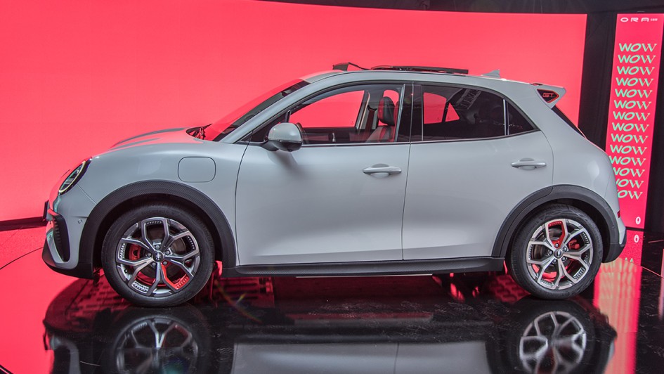 Ora Funky Cat Sitzprobe (2022)