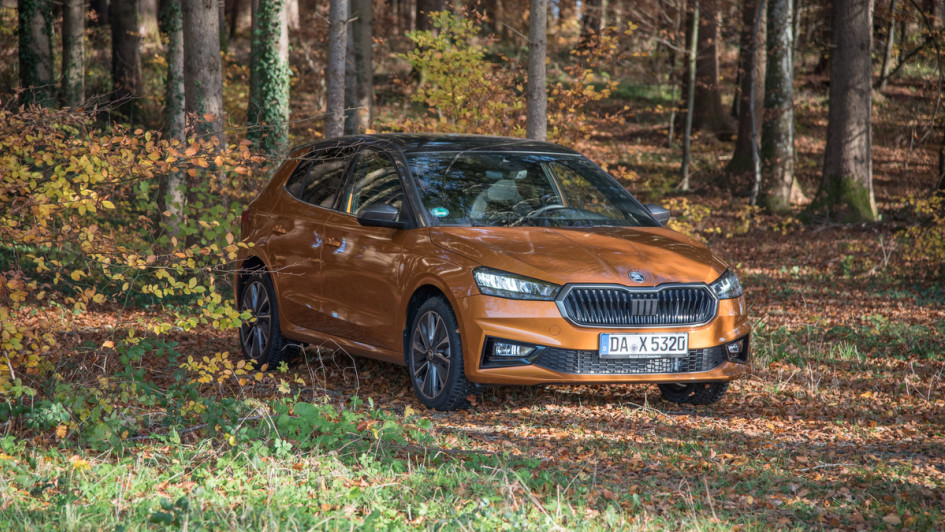 Skoda Fabia 2023 in bronze in Herbstwald